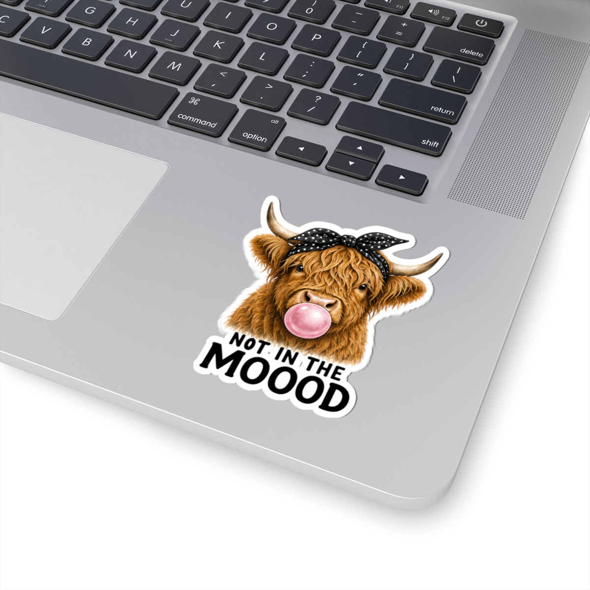 Highland Cow Bubblegum Sticker | Not In The Mood kiss-cut sticker