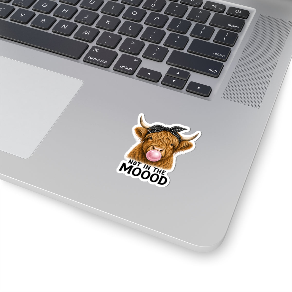 Highland Cow Bubblegum Sticker | Not In The Mood kiss-cut sticker